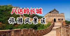 青草水蜜桃大综合网站中国北京-八达岭长城旅游风景区