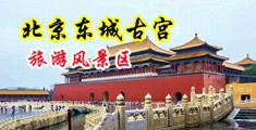 美女被艹逼疯狂抽插至抽搐淫水直流视频中国北京-东城古宫旅游风景区
